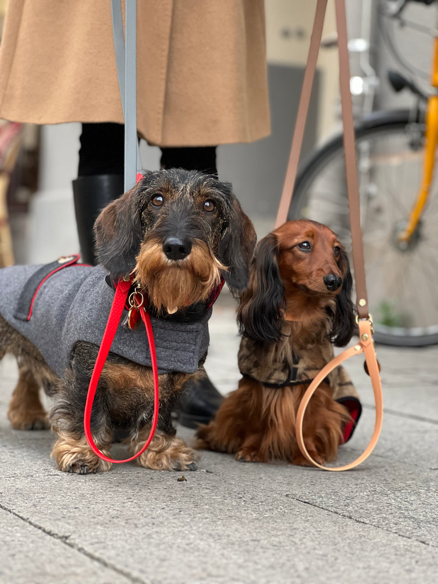 Sausage sales dog leash