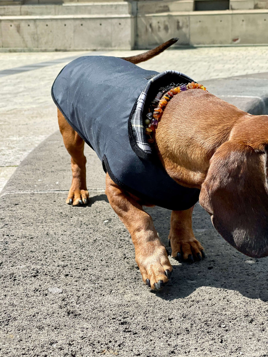 Dog rain jacket Banksy
