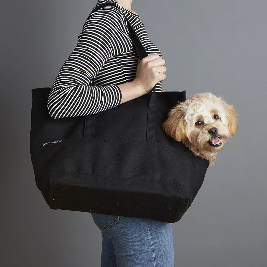 Dachshund sales bags totes