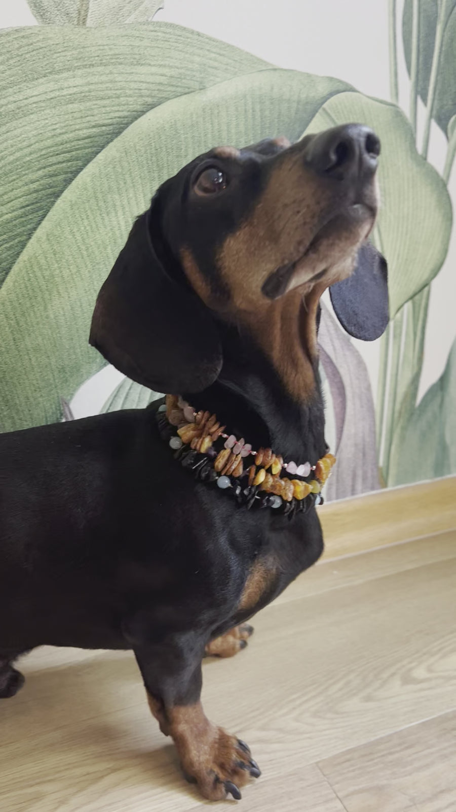 Honey Amber anti-tick necklace with Rose quartz pearls