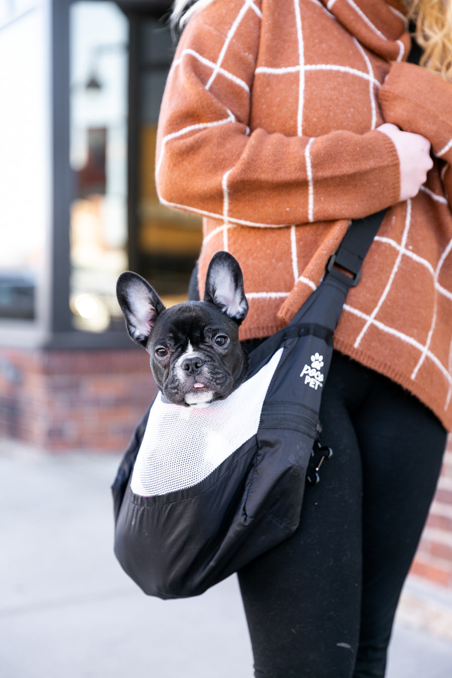 Dog carrier bag