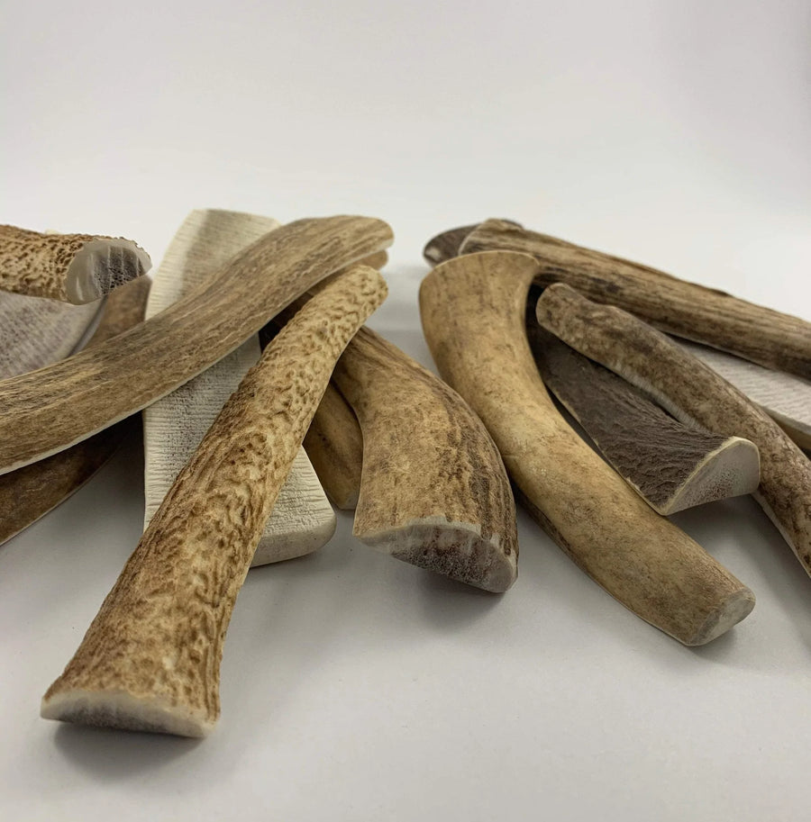 Dog chewy natural deer antler