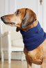 Cashmere scarf loops dog knitwear
