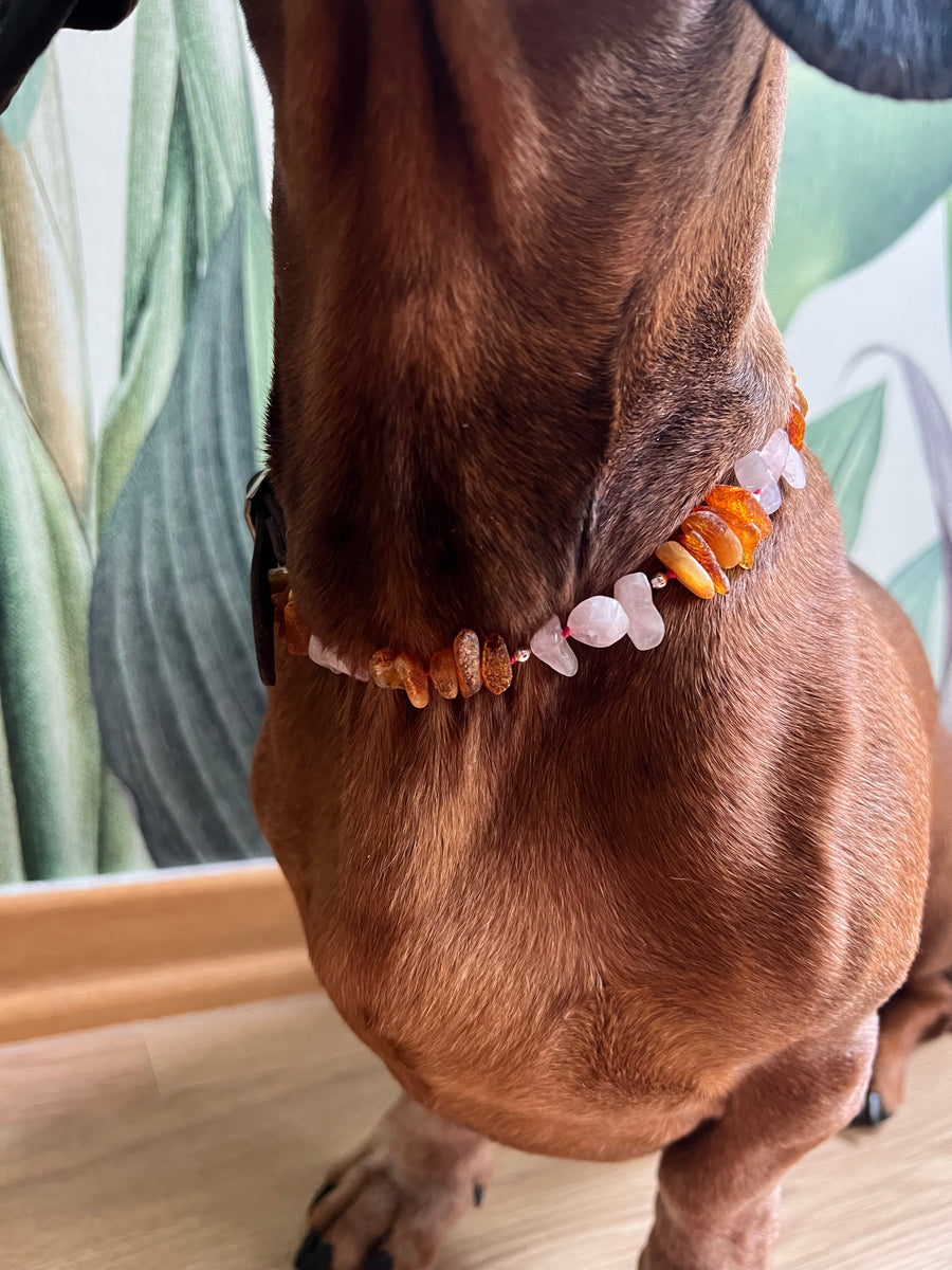 Honey Amber anti-tick necklace with Rose quartz pearls